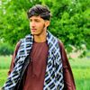 tiger.afghan7559