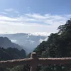 hoa.nguyn4655