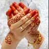 adamkhan5175