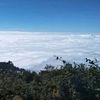 wayanggolekbansel