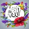 user7081587092598