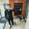enzo_ndh