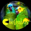 chefinhos