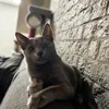 oliwiaok97