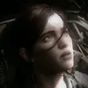 fire_flies101