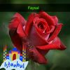 faysal_2434