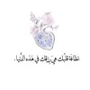 user8108070633061