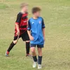 hayden_celts