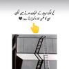 saif.ali.shah44