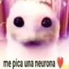 idk07841