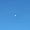 lua8230