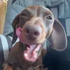 ruby_olearyy