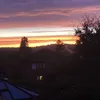 🎶🎶🌉