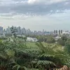 _paula773