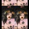 _glxsyy.kyy