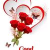 user4084077027620
