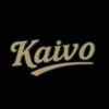 kaivohockey