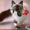 souad.benyelles