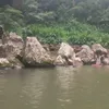 felipemestre87