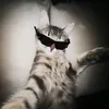 tatah.tatahzinha