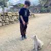 bel.sapa