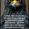 michael_0772