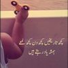 tmehmood130