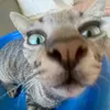 thuy.nguyen3632