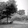 amelia_waone1521