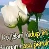 qiwizoaaizkzkq