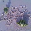 solly7438