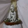 apesinaje1