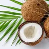 coconut_king228