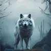 leo.leo6009
