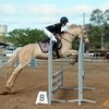 viv_showjumping