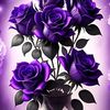 yassiiin16