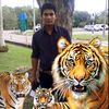 alamin3793