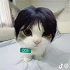 wiiqsa