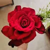 nguyendiem8866