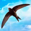 h.nguyn.th2192