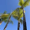 evaboucher4