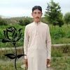 eid.gull44