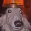4ompijnc99e