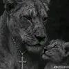 mouna.mouna9303