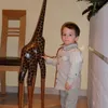 le_tib09