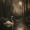 v.v_2o