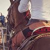 gerardoortiz.vikingo