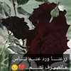 ama.mam6