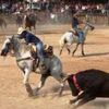 arturito.canul