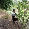 kim.phng6354